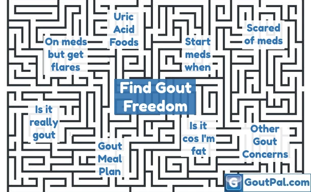 Find your way out of the gout maze