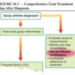 Gout Diet is part of Management Plan